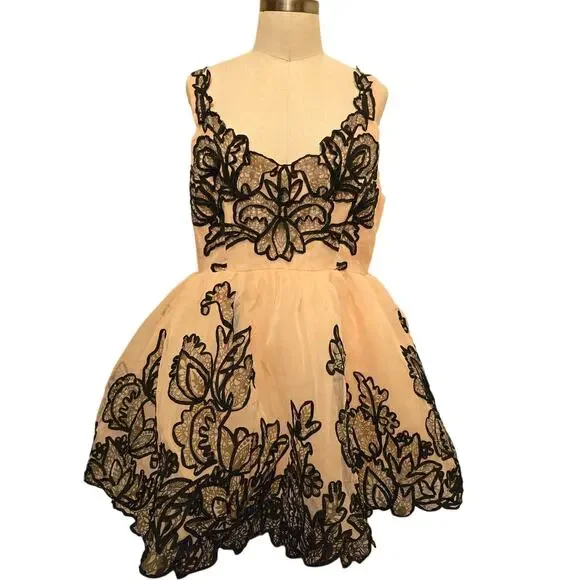 New Anthropologie Maeve Sleeveless V-Neck Lace Fit & Flare Mini Dress $298  SZ 14